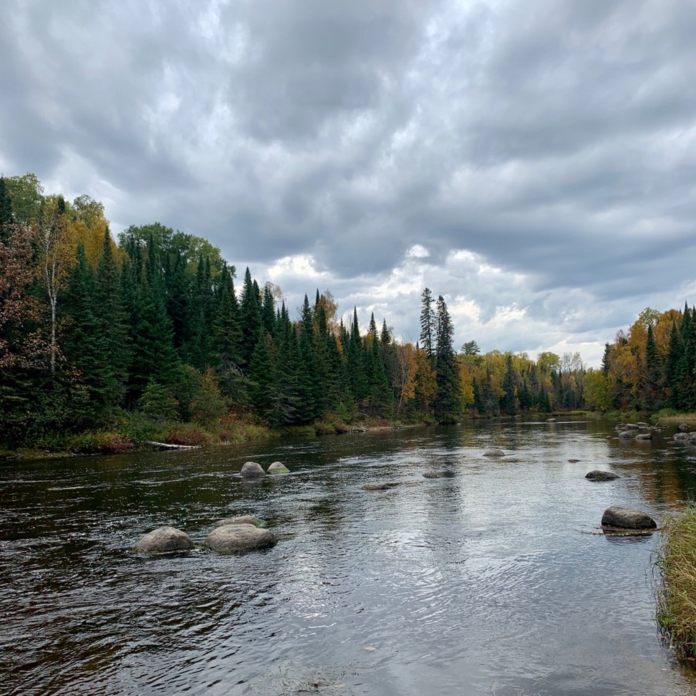 Meet your Posher, Holly